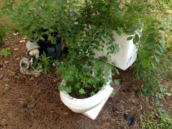 nothing wasted.toilet