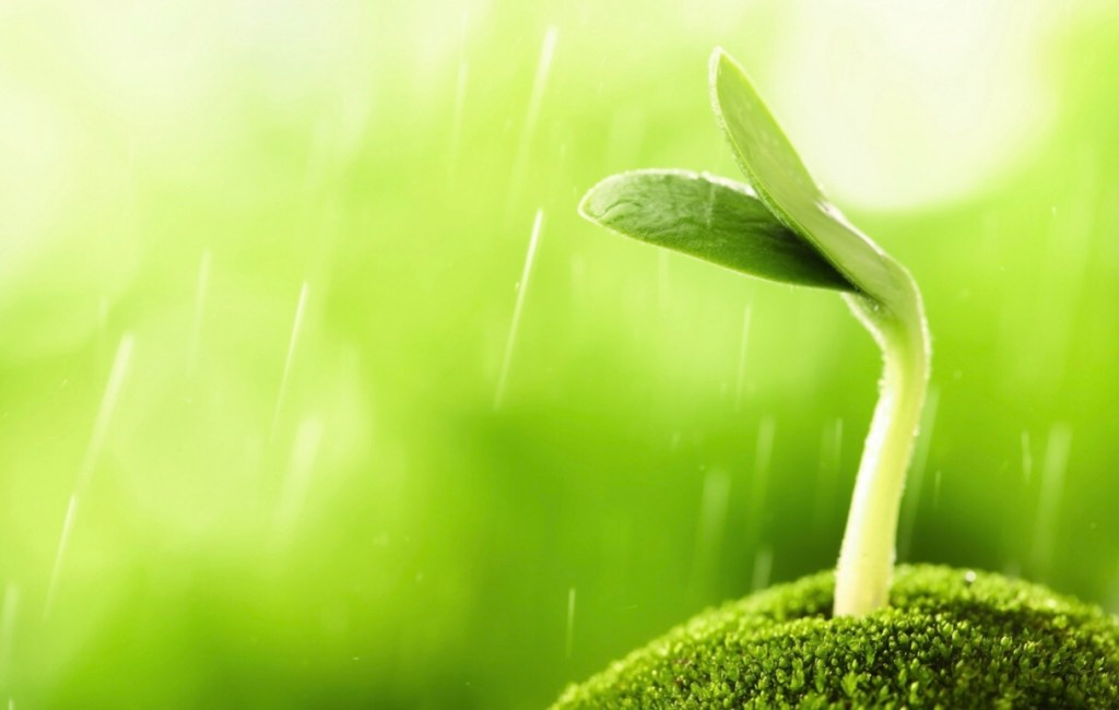 We’re Sinful at Conception?