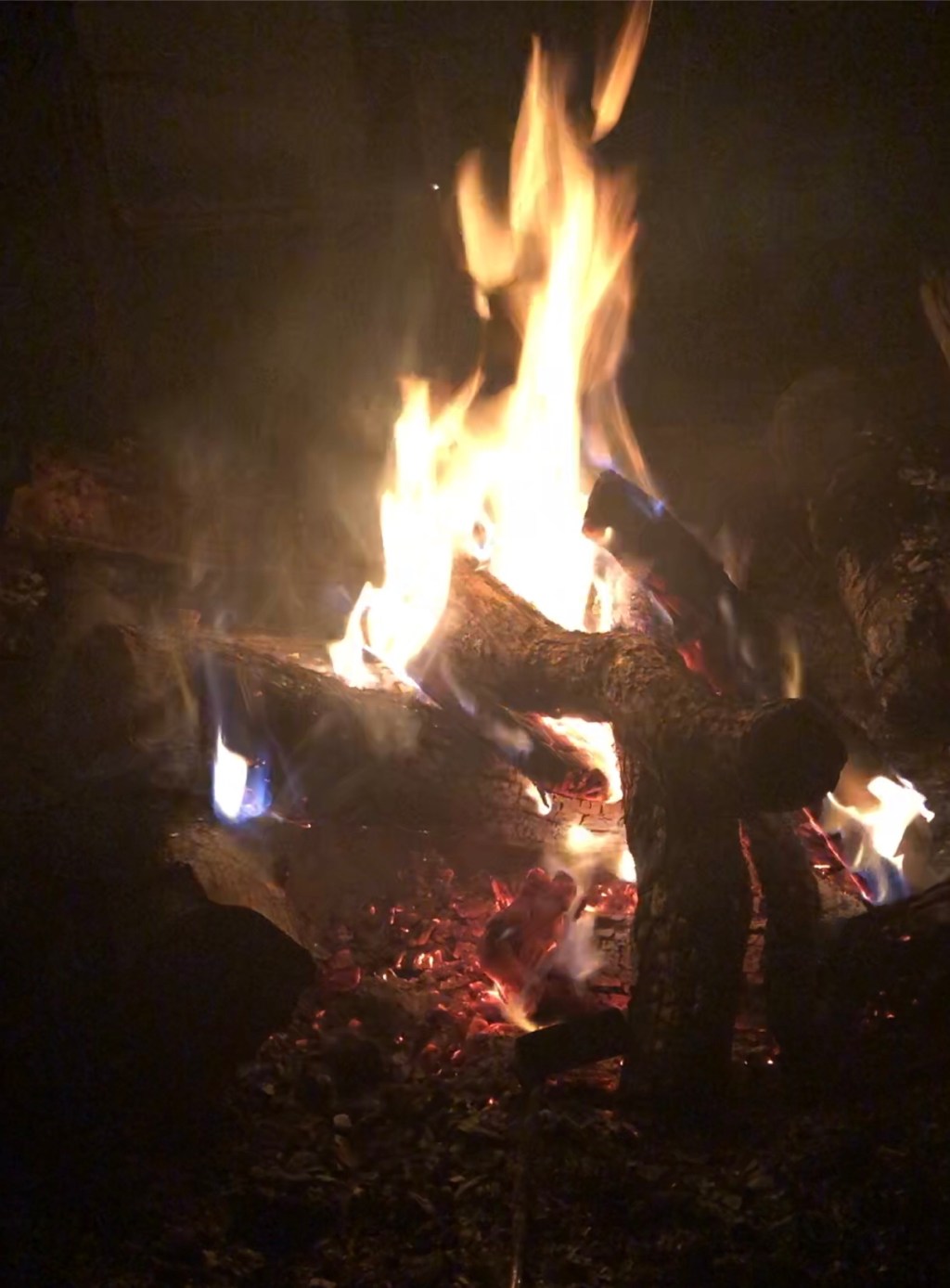 The Boy Wants a Fire