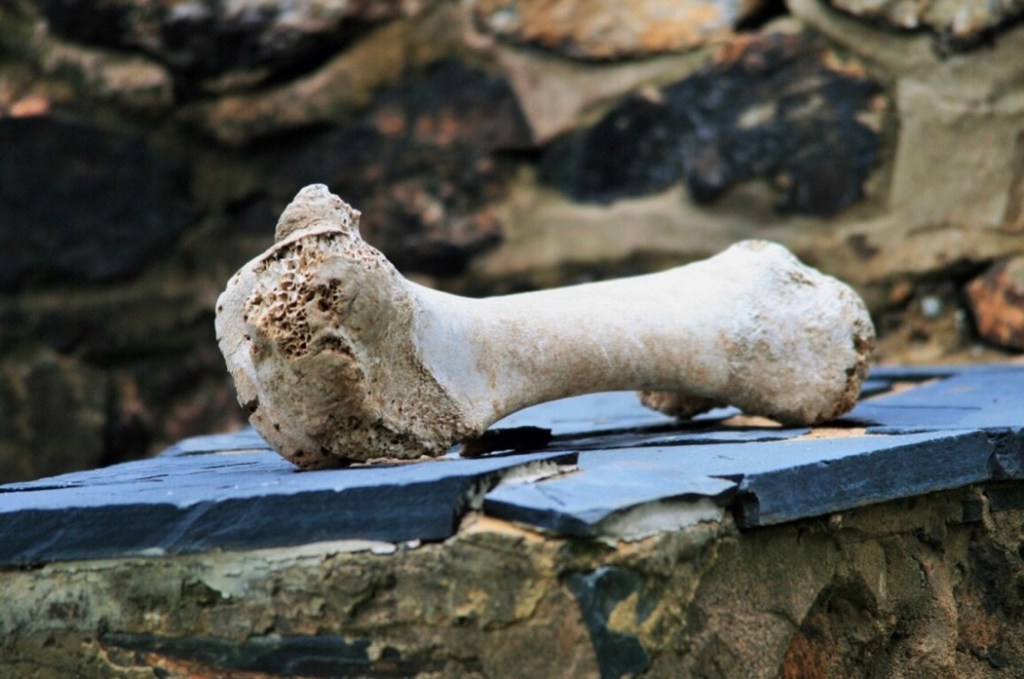 Something To Chew On