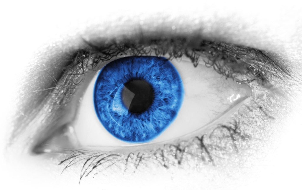 What If I Take the Log Out of My&nbsp;Eye?