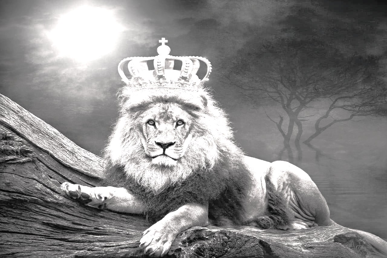 People With Great Skills Get Hired by Kings