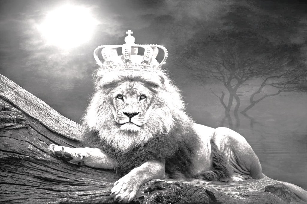 lion with crown on his head