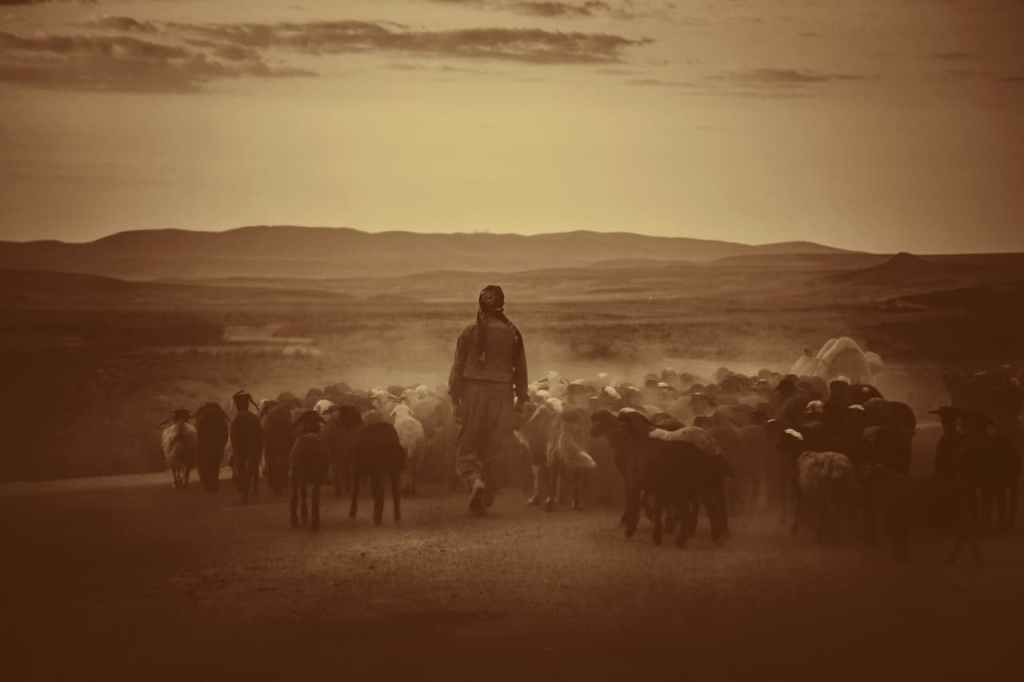 Knowing the Shepherd’s&nbsp;Voice