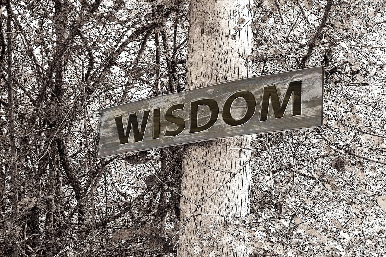 Please Be Wiser Than King Solomon