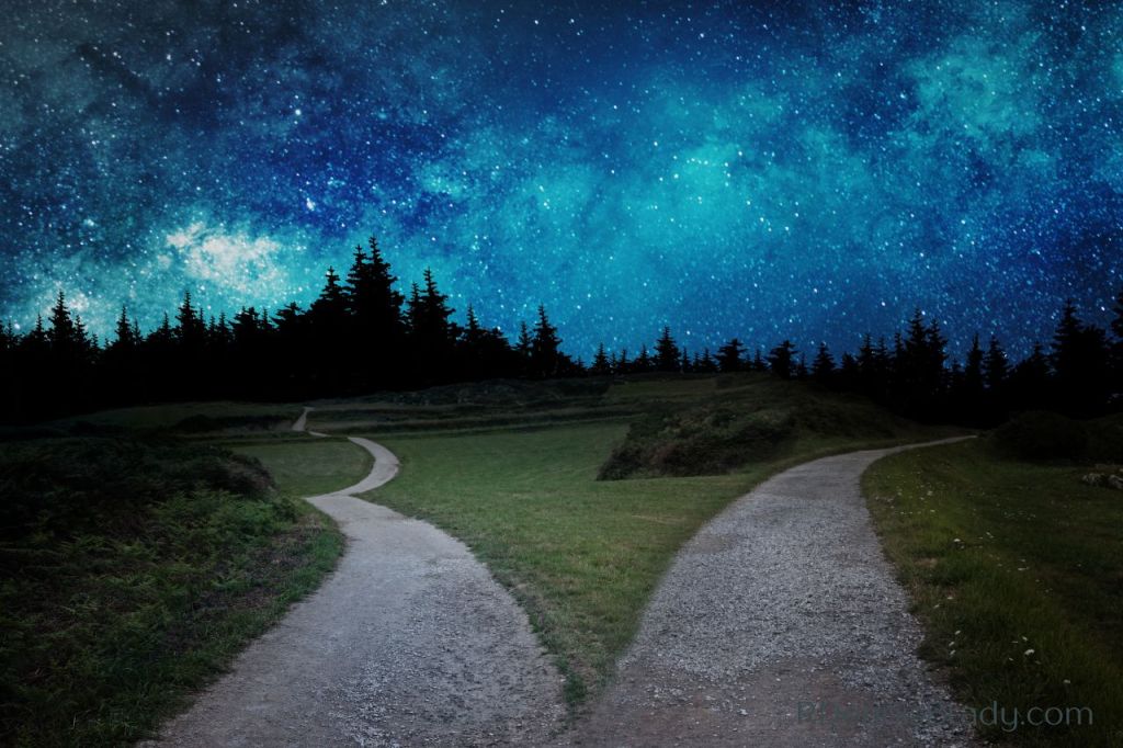 How to Choose Success: Your Life at the Fork in the&nbsp;Road