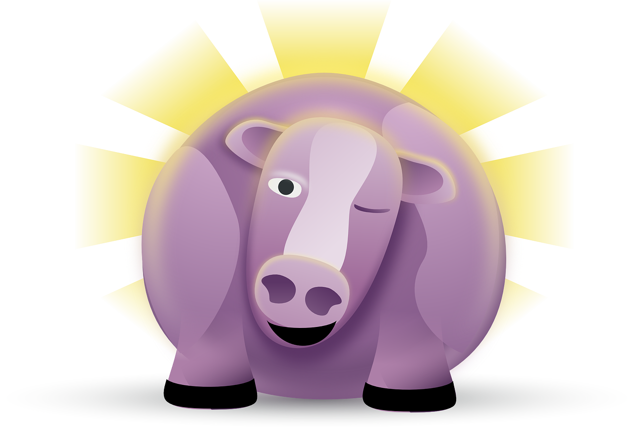 a purple cow