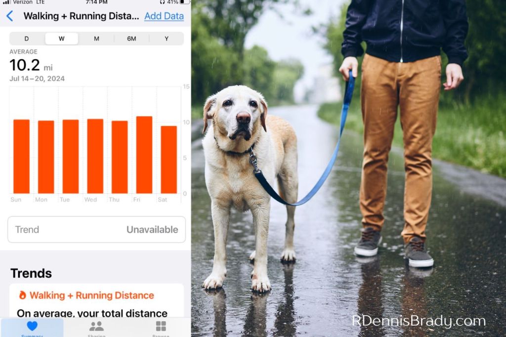 10 miles a day walking stats